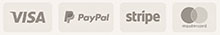 Accepted Payments