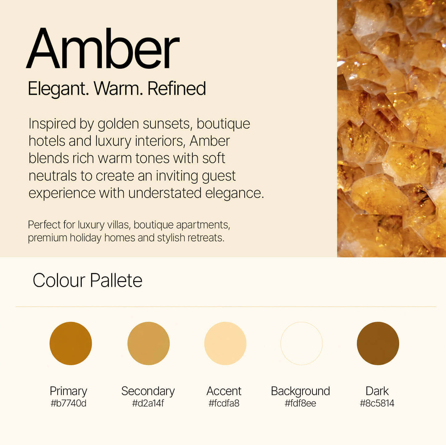 Amber Digital Guest Guidebook