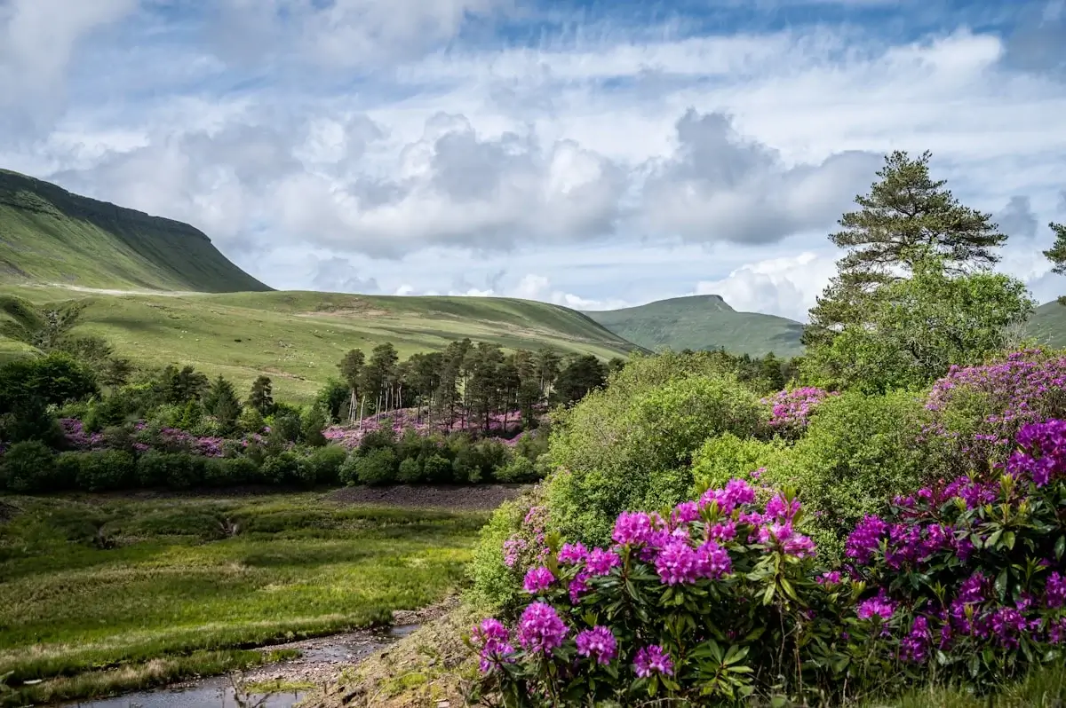 Wide view of Pen y Fan ridge under a blue sky in the Brecon Beacons