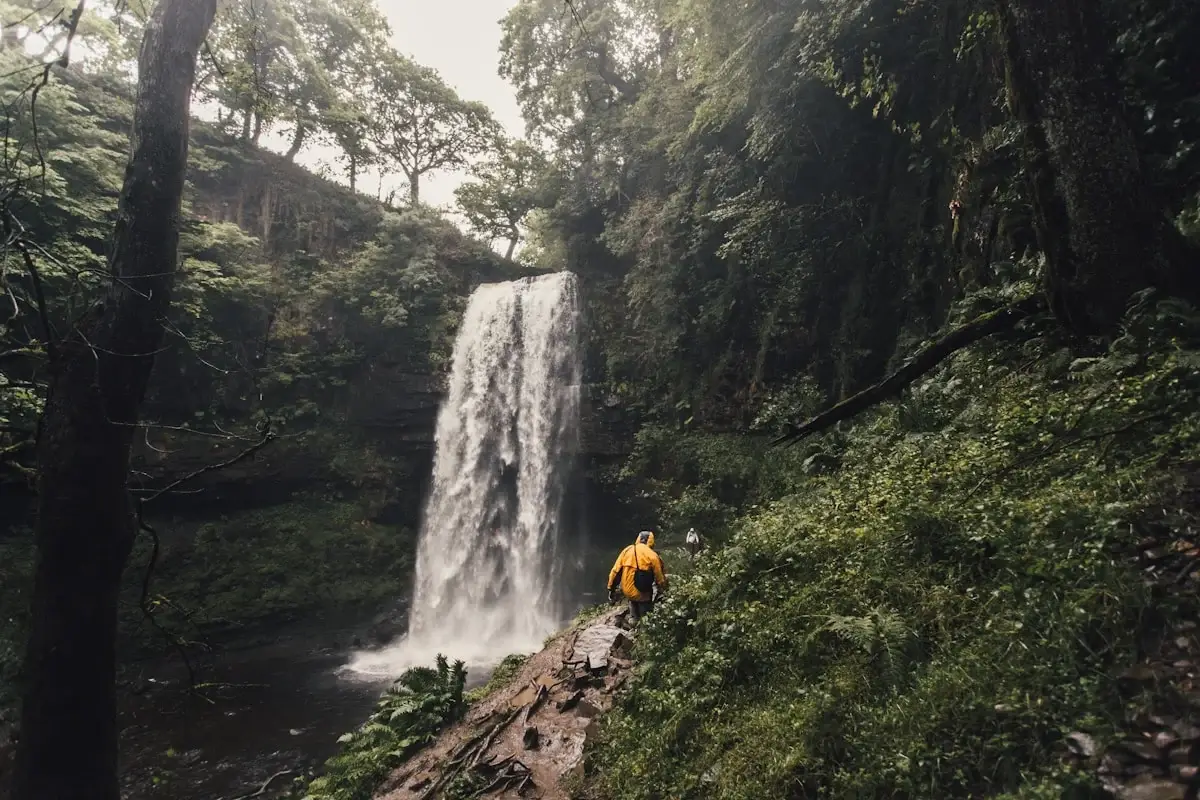 person walking beside waterfalls surrounded by trees