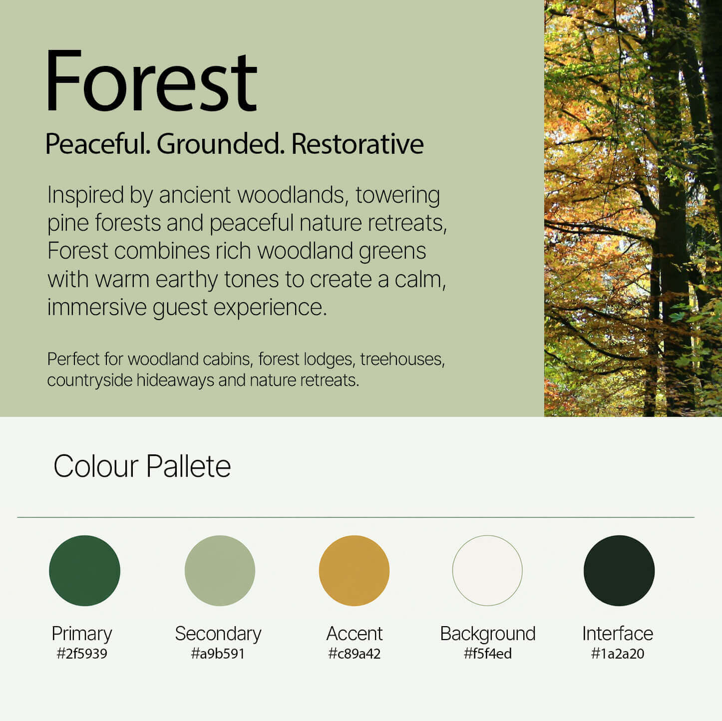 Forest Digital guest guidebook theme