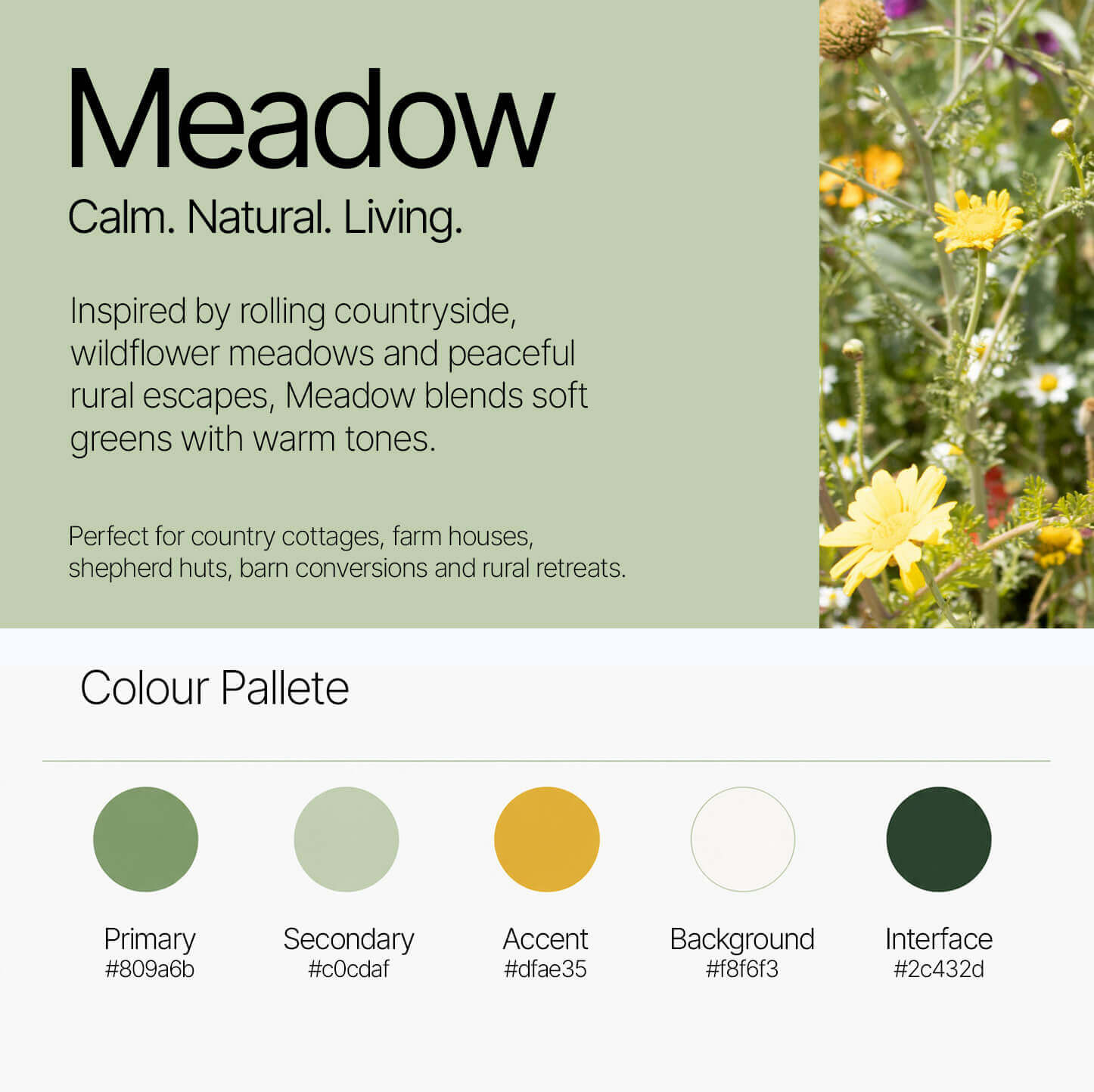 Meadow Digital Guest Guidebook Theme